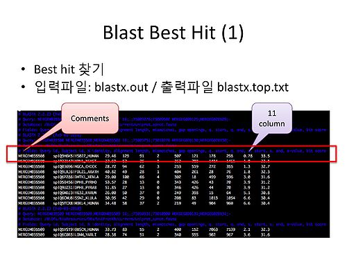 RDA-TAGC Part I Day 04 Python Basic II-22.jpg