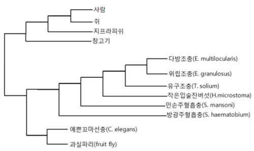 GT REVIEW 201305 tapeworm 02.png