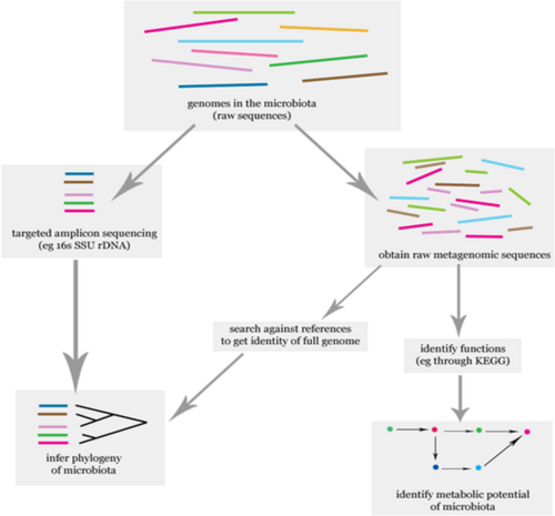 Metagenomics workshop02.png