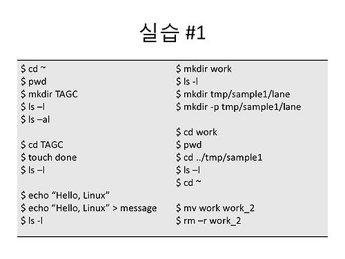 RDA-TAGC Part I Day 01 Linux-17.jpg