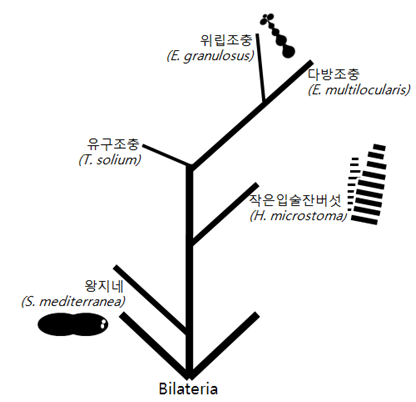 GT REVIEW 201305 tapeworm 03.png