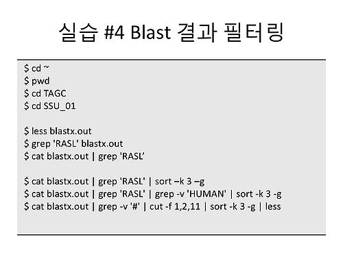 RDA-TAGC Part I Day 01 Linux-24.jpg