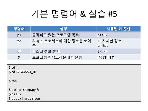 RDA-TAGC Part I Day 01 Linux-25.jpg