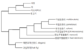 GT REVIEW 201305 tapeworm 02.png